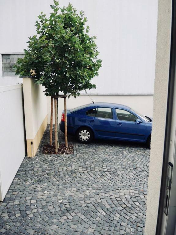 Modernes Apartment - Neustadt/Weinstrasse Stadt Neustadt an der Weinstraße 外观 照片