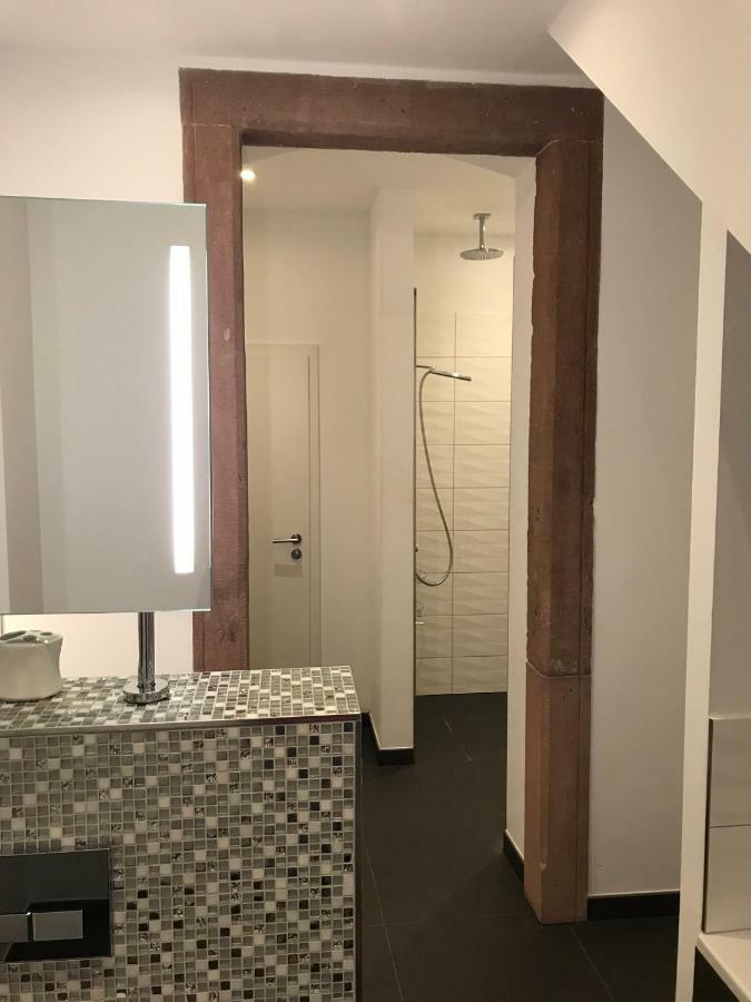 Modernes Apartment - Neustadt/Weinstrasse Stadt Neustadt an der Weinstraße 外观 照片